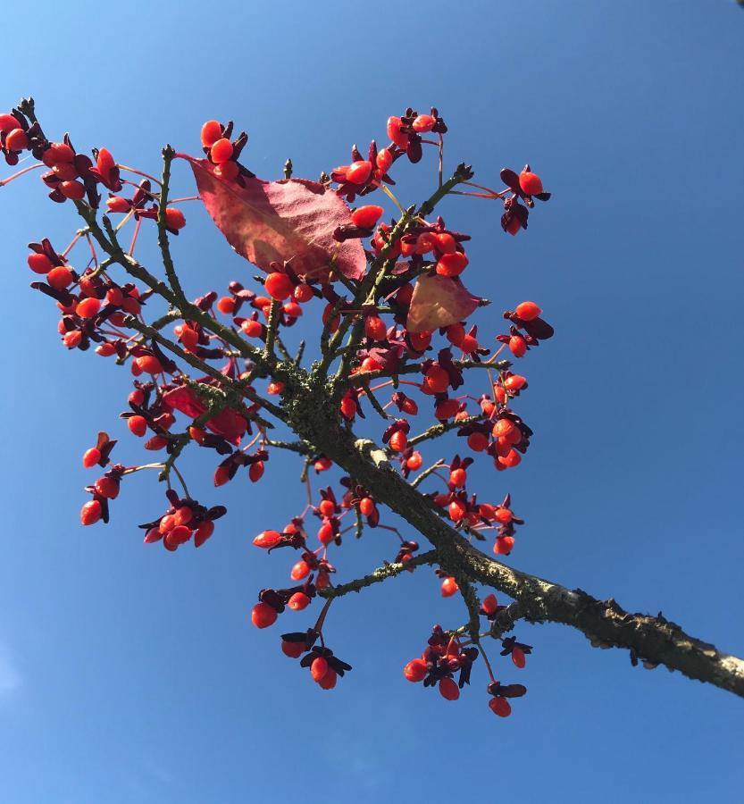 울라레드 Torpet Laengtan 빌라 외부 사진